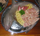 Haai eten op de waddenzee